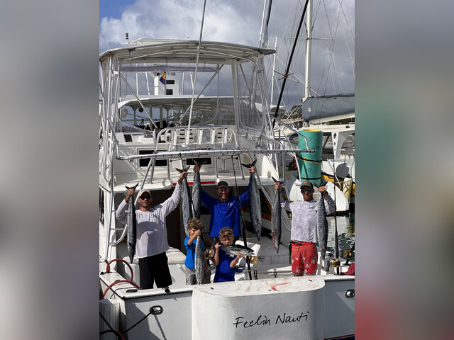 Listing image 972367