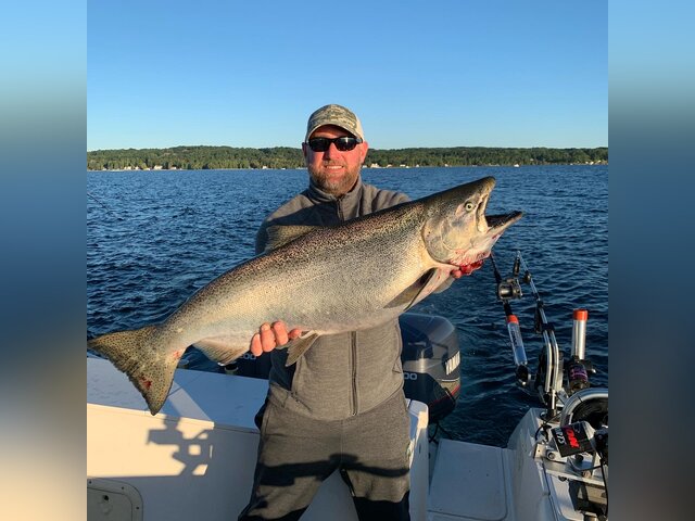 Listing image 961662