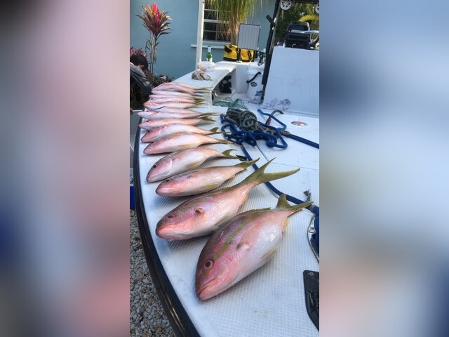 Listing image 961468