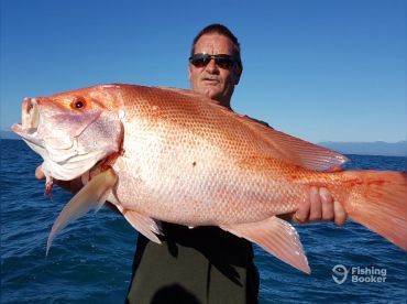 Port Douglas Sportfishing