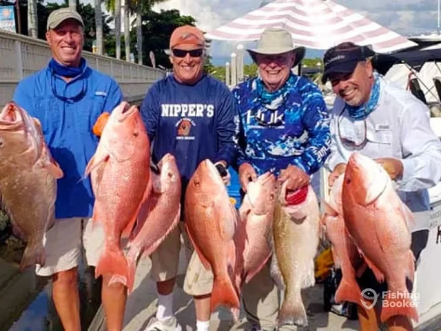 Listing image 963455