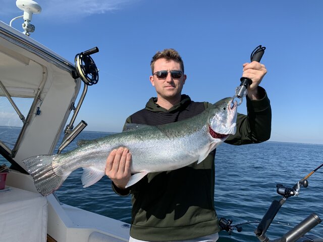 Listing image 961764