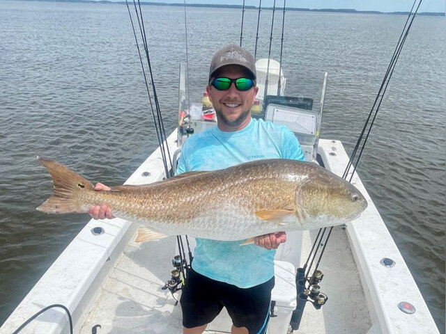 Listing image 963168