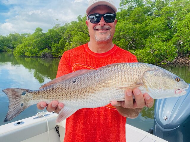 Listing image 963079