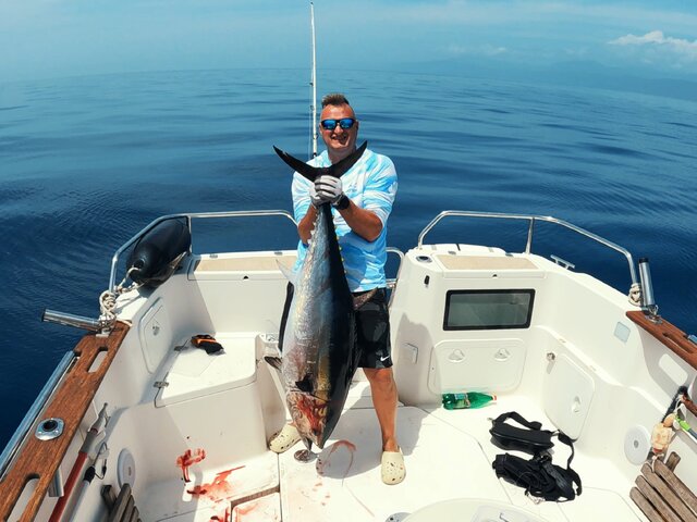 Listing image 1070744