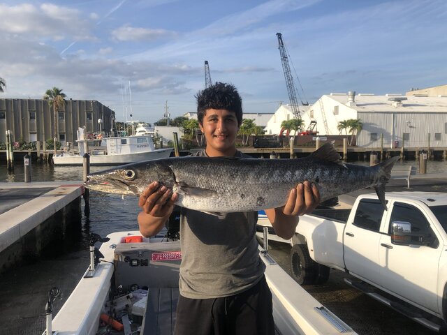 Listing image 963530