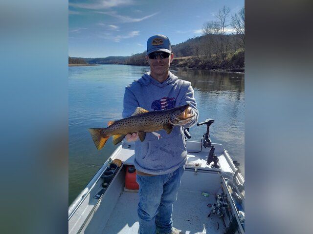 Listing image 963616