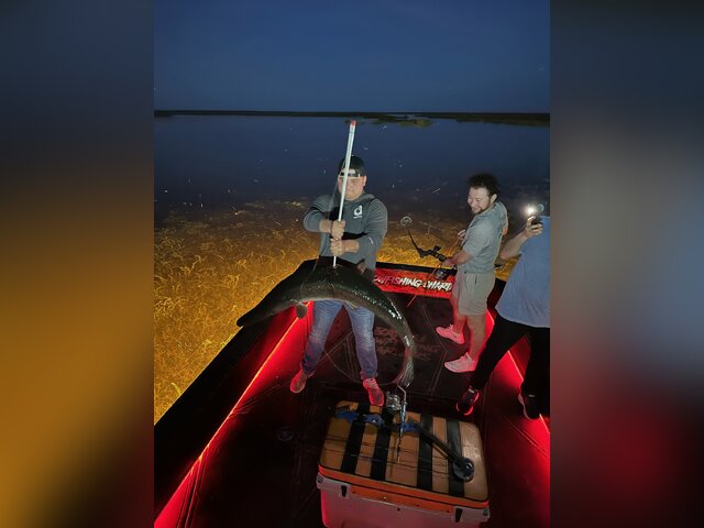 Listing image 964979