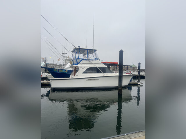 Listing image 997728