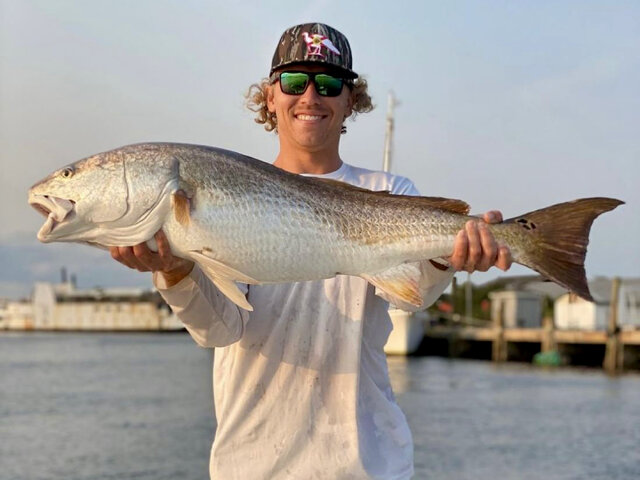 Listing image 968316