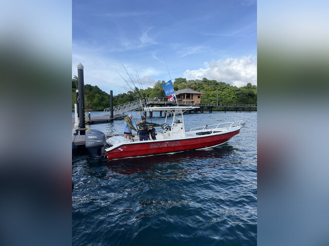 Listing image 1086279