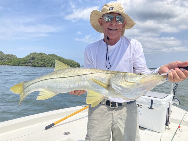 Listing image 966130