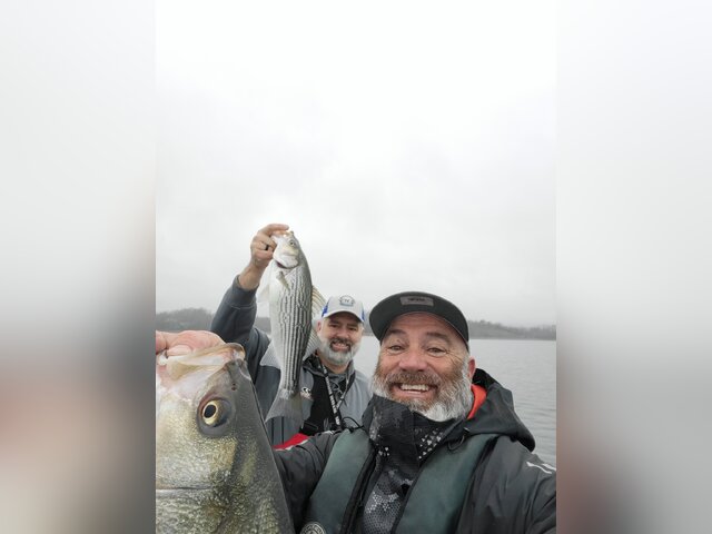 Listing image 967999