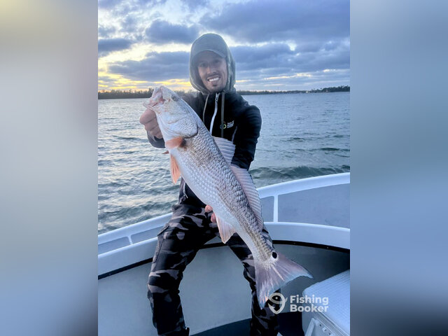 Listing image 971491