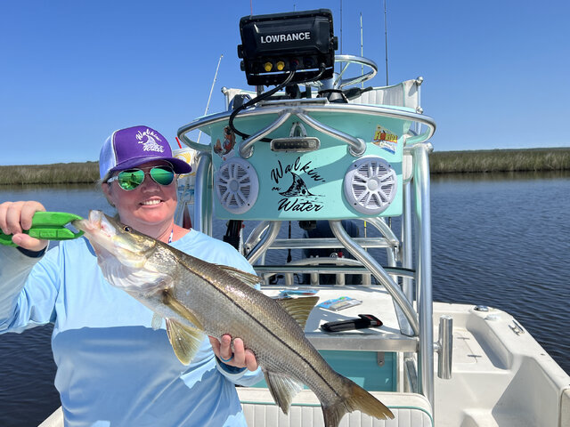 Listing image 969463