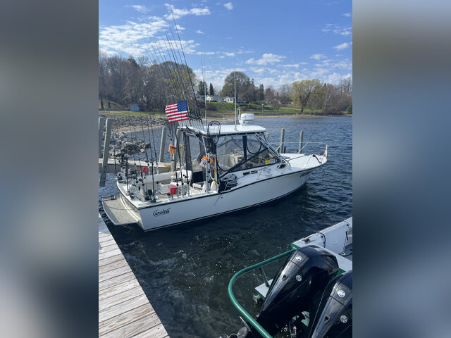 Listing image 1184472