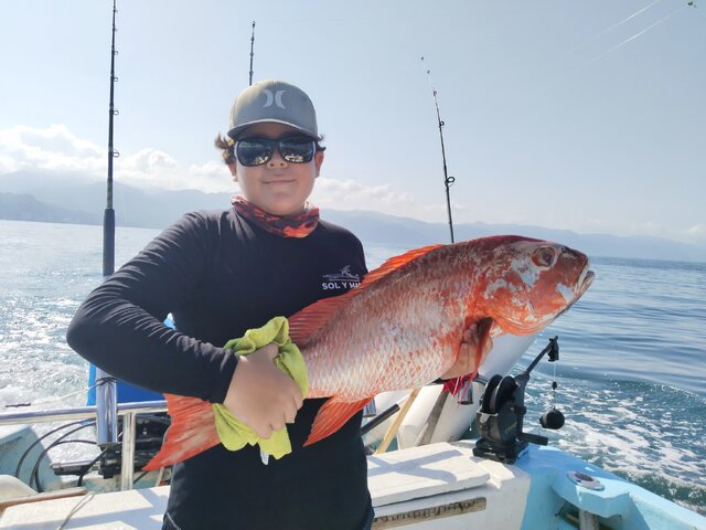 Listing image 970189