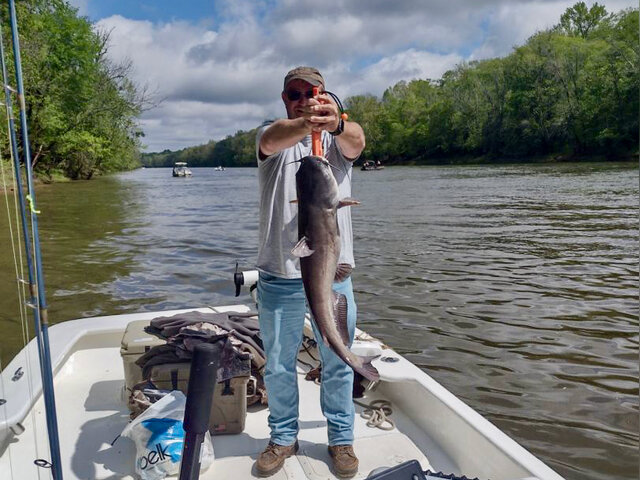 Listing image 972259