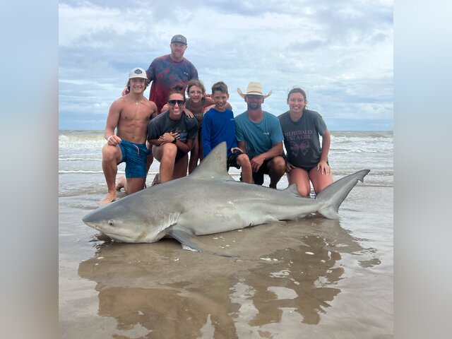 Listing image 1071497