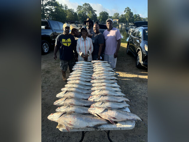 Listing image 1056330