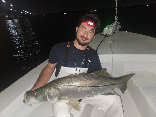 Listing image 1278872