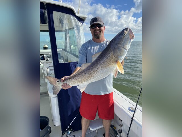 Listing image 971689