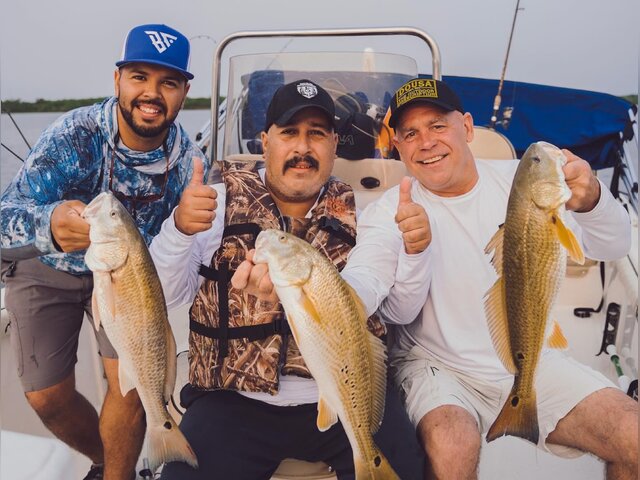 Listing image 1033829