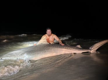 Coastal Adventures thumbnail