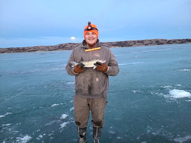 Listing image 974535