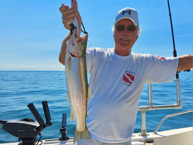 Listing image 976537