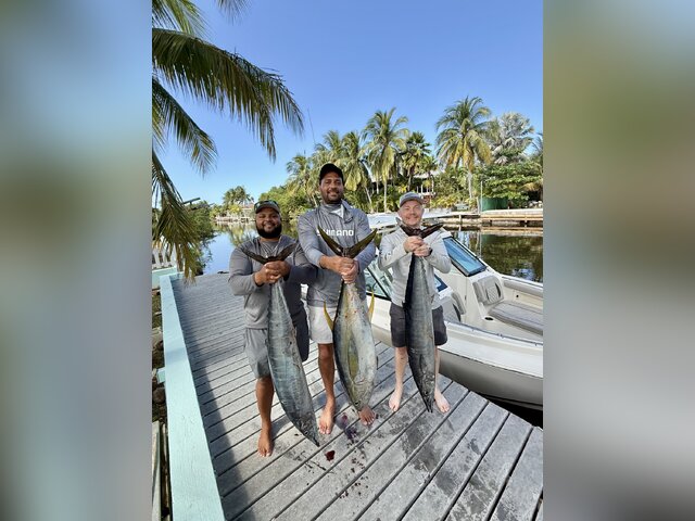 Listing image 1291529