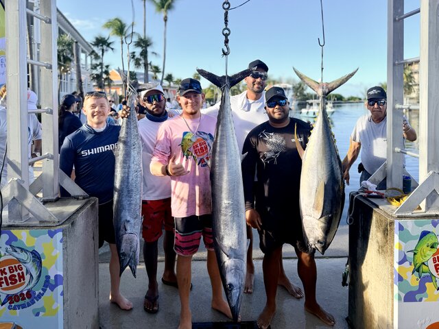 Listing image 1326676