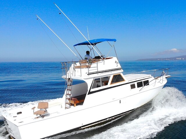 Listing image 975787