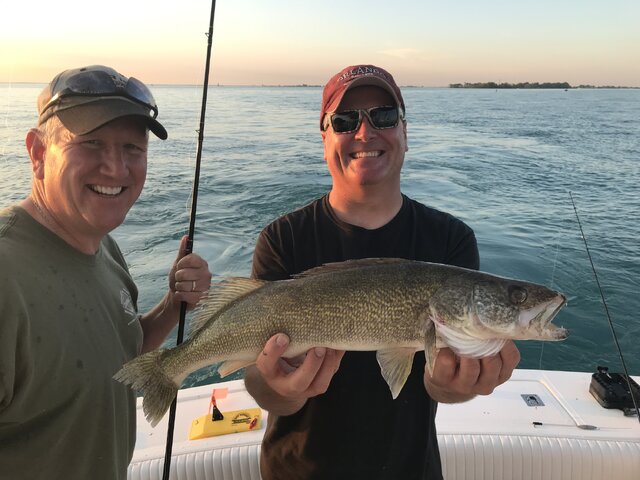 Listing image 977554