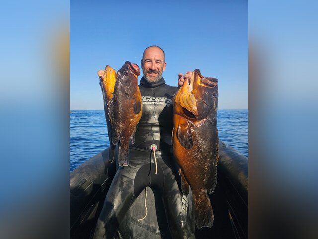 Listing image 1203421