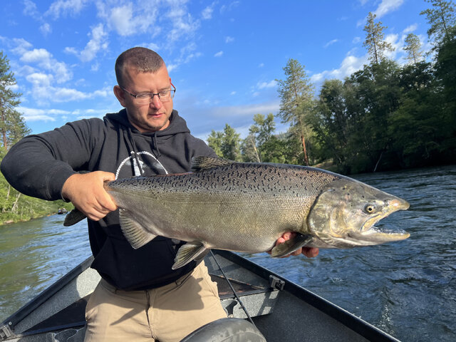 Listing image 978832