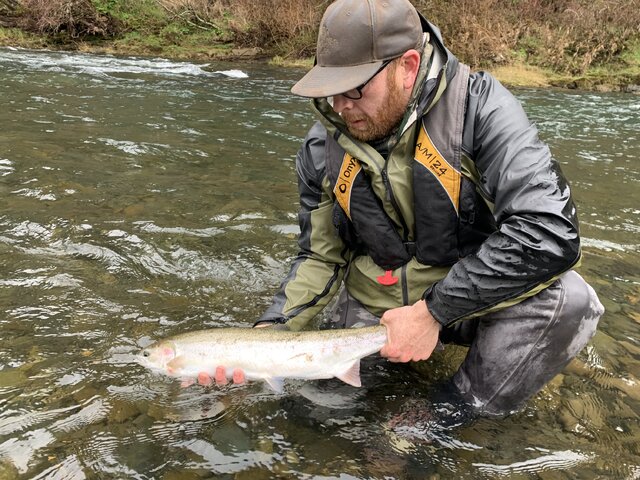 Listing image 978955