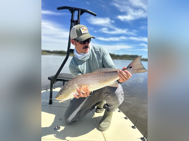 Listing image 979274