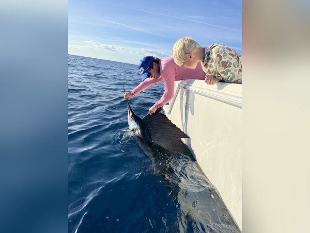 Listing image 1266210