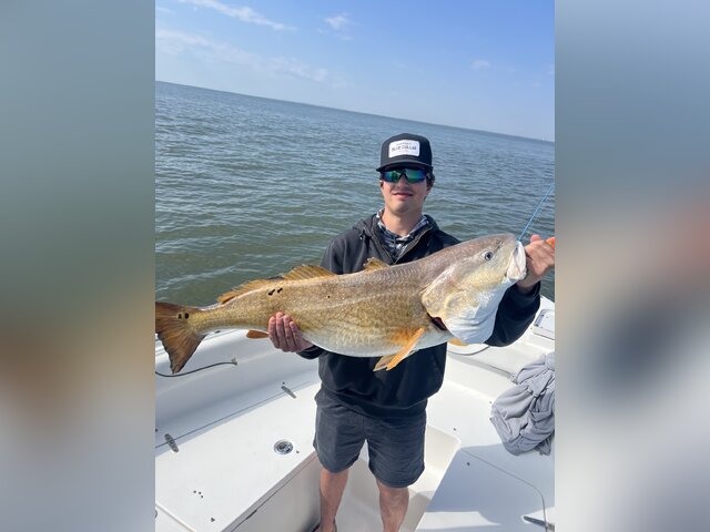 Listing image 1134508