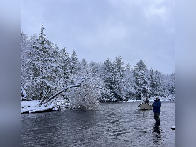 Listing image 1122671