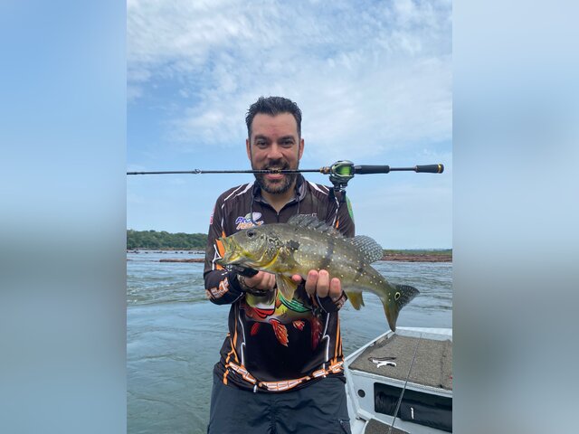 Listing image 981082