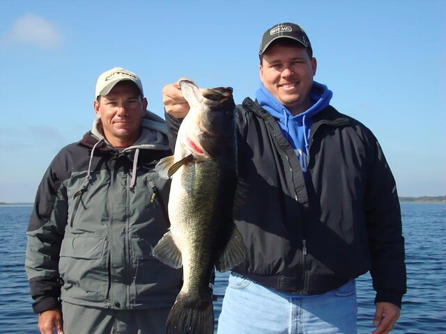 Listing image 981893