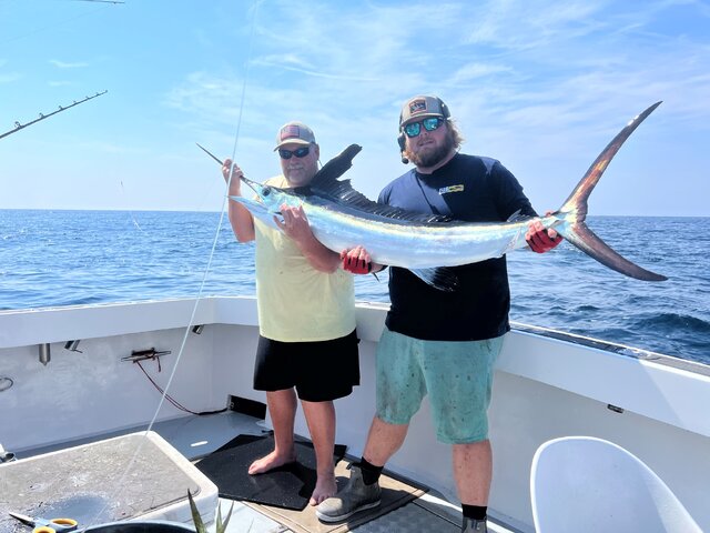 Listing image 982072