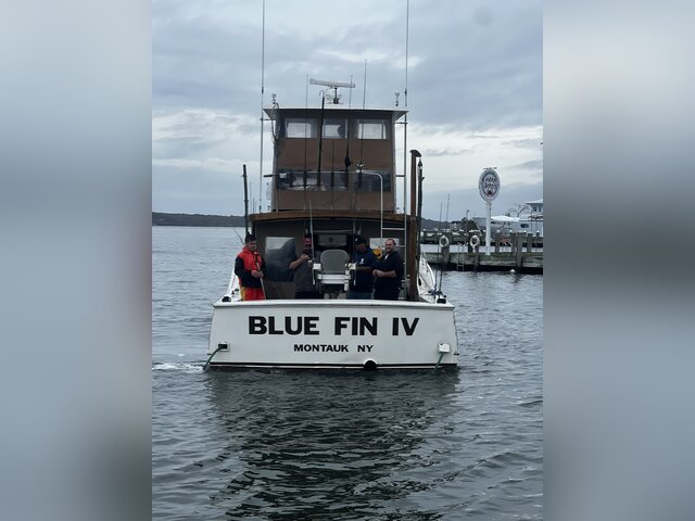 Listing image 982655