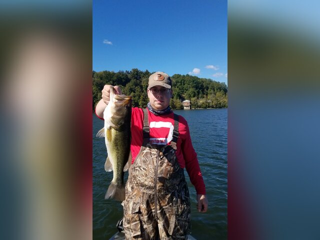 Listing image 982697