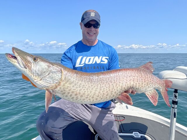 Listing image 982788