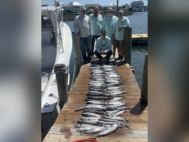 Listing image 1180350