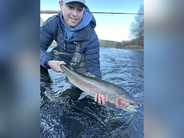 Listing image 983165