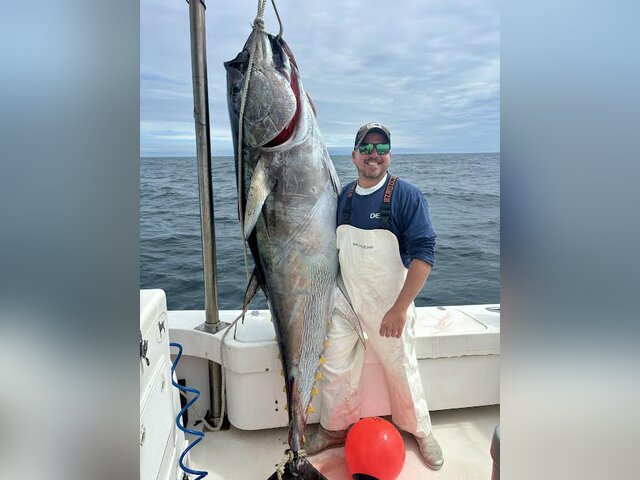 Listing image 1127610